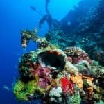 Explosion of colours on Umbria Wreck